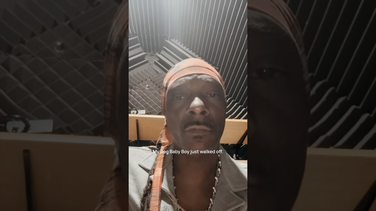 DOGG GONE Ep3: Not a Test!