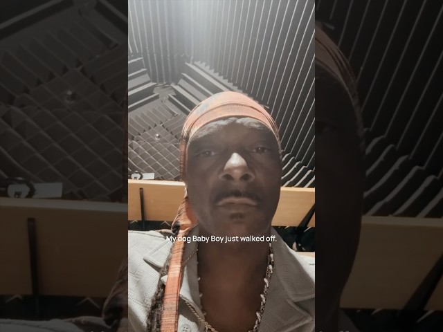 DOGG GONE Ep3: Not a Test!