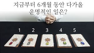 [타로] 지금부터 6개월동안 다가올 운명적인 일은?