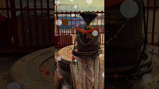 Namami shamishan nirvan roopam 🙏#shivshambhu​ #bhole​  #mahadev​ #status​