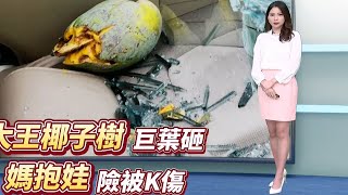 20230724 CTS華視晚間新聞1800 葉映彤&莊雨潔(氣象)