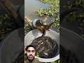 Machhali pakdane wala video 🐬😲 #shorts #fishing #machhali #shortsfeed #youtubeshorts #fishingvideo#h