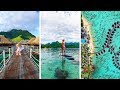 The Best Hotel on Earth (Mo'orea Tahiti Vlog)