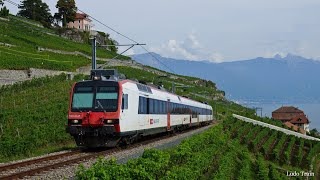 Sur le Rail Suisse, du lac Léman au pied du Jura