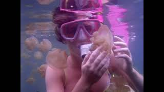 Woman Snorkeling With Jellyfish 1990S