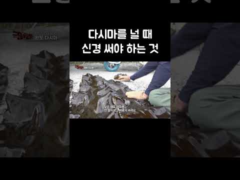 다시마 건조하는 방법 #shorts