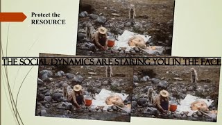 @K9-Master Is Wrong About Domesticated Dogs Not Being Creatures Of Hierarchy
