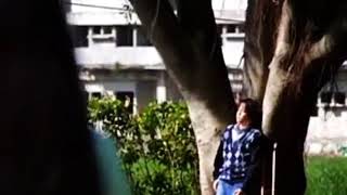 Silence Special A True love about Qi Wei Yi & Zhao ShenShen