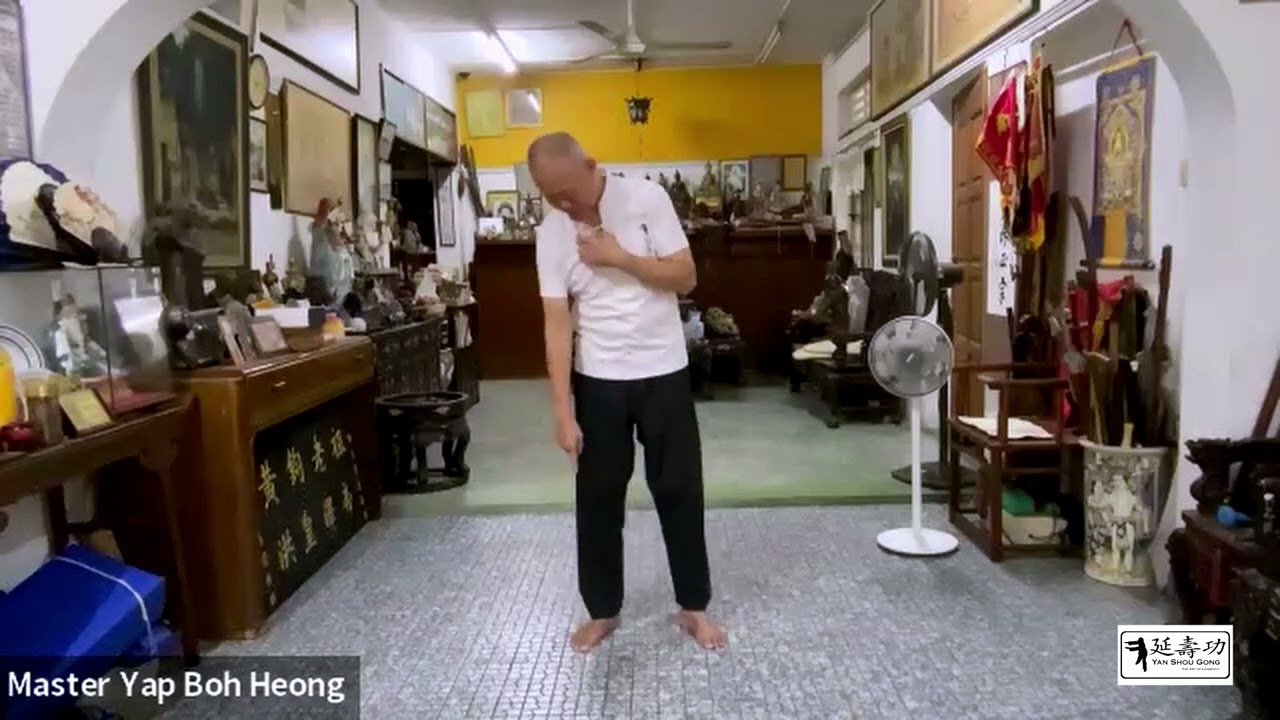 Yan Shou Gong Q&A  Strings