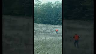 Best And Most Effective Strategy For Fall Turkey Hunting Gobbler Down