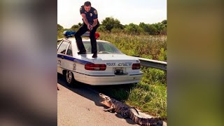 UNBELIEVABLE Police VS Wild Animals Moments Caught On Camera