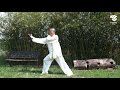 Entranement de taiji quan avec philippe nguyen