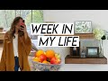 WEEK IN MY LIFE | getting good news, home goods shopping, and get organized & plan with me!