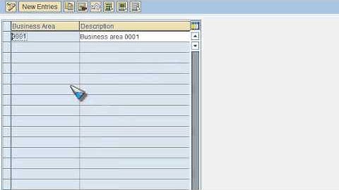 SAP FICO VIDEO TRAINING TUTORIALS 0004 BUSINESS AREA CREATION ECC6 - BAYISETTI
