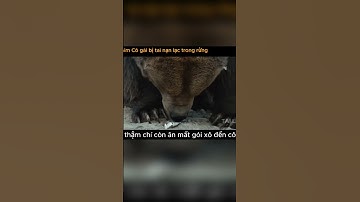 CÔ GÁI LẠC TRONG RỪNG 3 #reviewphim #phimhay #shortvideo