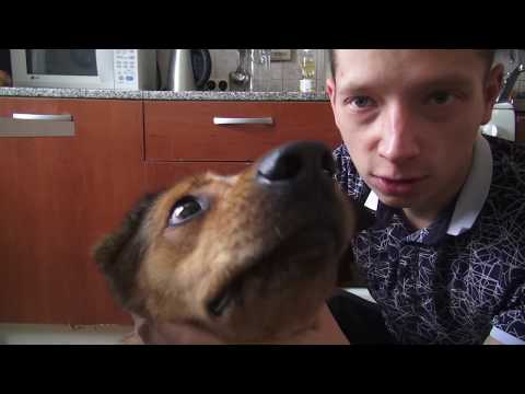 vlog5