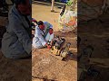 توليف متور جاز علي طلمبه 3بوصه