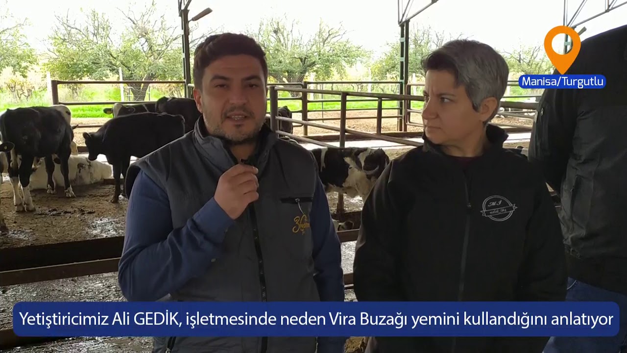 Vira Buzağı Yemi ile tanışan Ali Bey görüşlerini aktarıyor