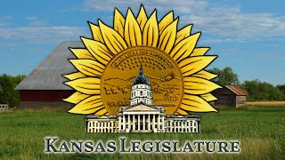 Senate Committee on Ways and Means 03/17/2021