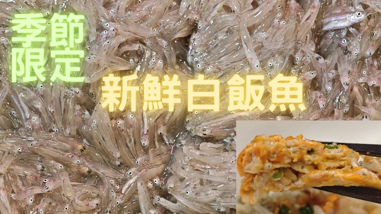 季節限定,新鮮透明白飯魚😍原來同平時白色白飯魚係唔同野？超鮮勁好食,吻仔魚/銀魚/鯡魚/鯷魚~fishcutting香港海鮮~社長遊街市Seafood