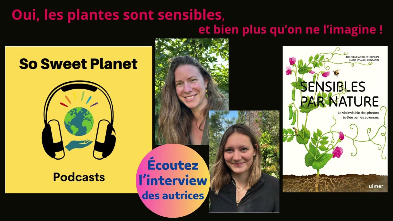 Oui, les plantes sont sensibles et bien plus qu’on ne l’imagine !