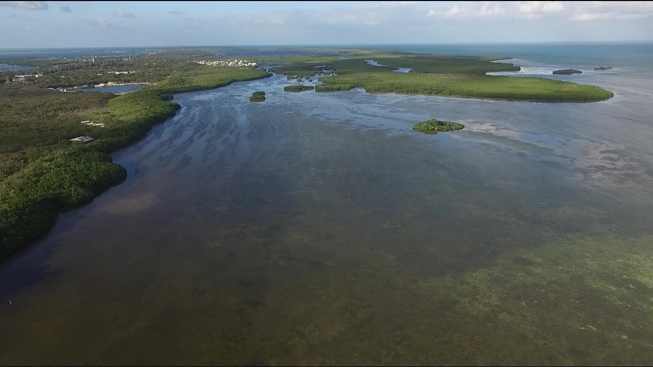 John Pennekamp Coral Reef State Park Phantom Drone Aerial Photography DJI