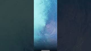 Celebrity Mesmerize App Walkthrough Profile