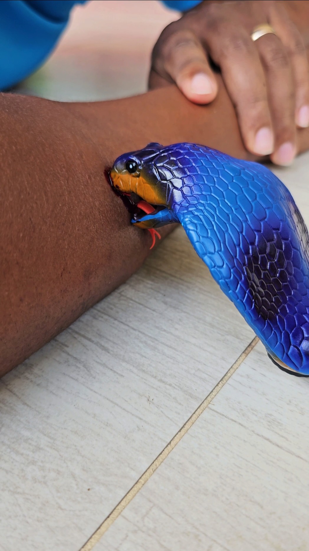 Attack da Cobra??☠️? #funny #funnyvideo #comedy