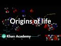 Origins Of Life And The Evolutionary Timeline