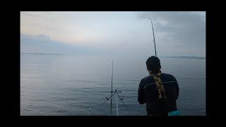Holyhead SHARKS and RAYS 🦈 Anglesey Rock Fishing - North Wales