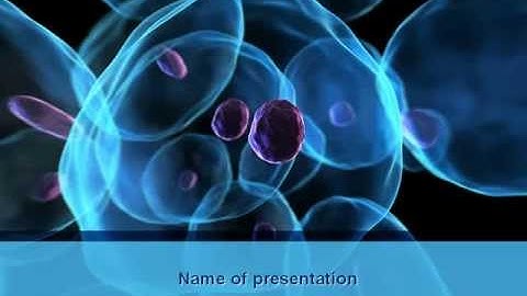 Stem Cells PowerPoint Template by PoweredTemplate.com