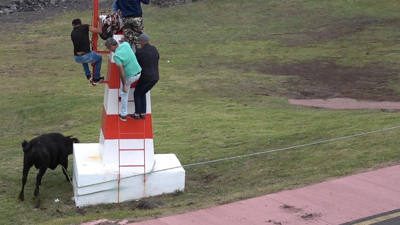 28 -09- 2025 / TOURADA À CORDA PORTO DOS BISCOITOS 