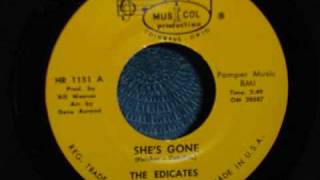 The Edicates - She's Gone