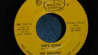 The Edicates - She&#39;s Gone