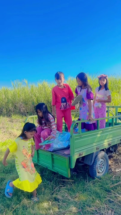 Ternyata kak Novie banyak sawahnya #sambilancuan #shortvideo