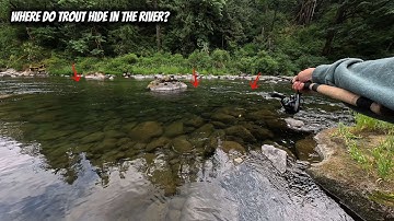 How to Find Trout on the River!