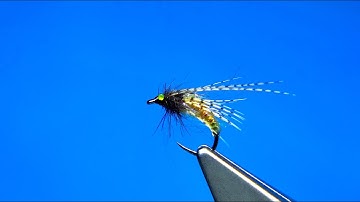 Tying a Super Stretch Caddis Pupa by Davie McPhail