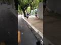 Veja como é a vida do ciclista em Belém! #belem #bikebelem #bicicleta