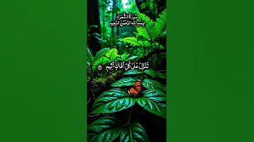 تلاوة مؤثرة جدا سورة الشعراء بصوت عذب الشيخ محمد الفقيه 