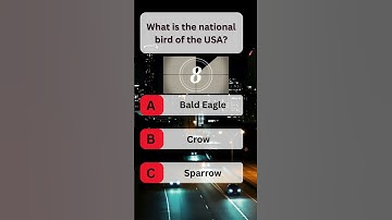 USA Quiz Challenge: Test Your Knowledge With This Question #usaquiz #funquiz #brainteaser #usafacts