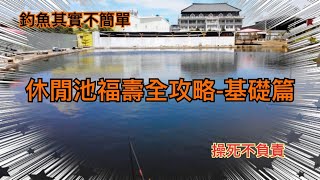 福壽魚全攻略基礎篇(操死不負責)#福壽魚#休閒池#大金陵 