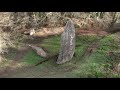 Bretagne - Trégor - Les menhirs de Pergat - Louargat - Côtes d&#39;Armor -  Mavic air - DJI