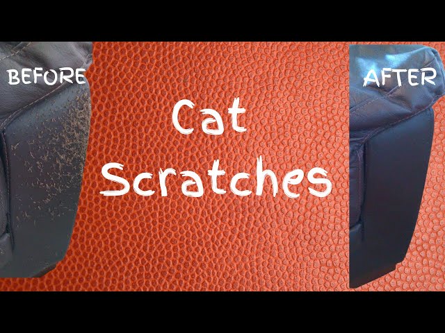 Repair Cat Scratches On A Leather Sofa