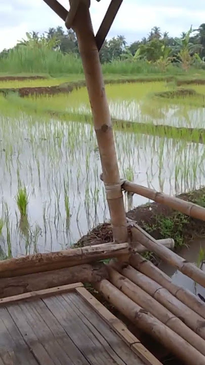 dahsyatnya ayat qursy #shortvideo #renunganjiwa #ayatulkursi #amalkebaikan