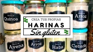 ¡CREA TUS PROPIAS HARINAS EN CASA! CON OPCIONES SIN GLUTEN Transición Vegana