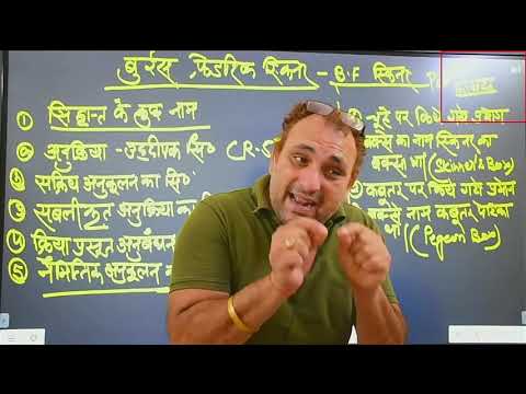 LIVE CLASSROOM -: LEC 7 अधिगम बाल मनोविज्ञान - LIVE CLASSROOM -: LEC 7 अधिगम बाल मनोविज्ञान