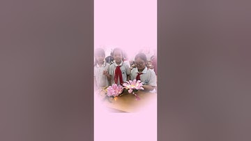 Hướng dẫn làm lồng đèn Hoa sen bằng dây kẽm #hoahandmade #origami 