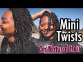 Mini Twists on Natural Hair! My FAV protective style 🔥