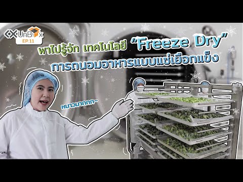 พาไปรู้จักเทคโนโลยี "Freeze Dry" การถนอมอาหารแบบแช่เยือกแข็ง | KX UNBOX EP.11