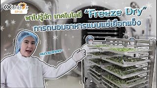 พาไปรู้จักเทคโนโลยี "Freeze Dry" การถนอมอาหารแบบแช่เยือกแข็ง | KX UNBOX EP.11